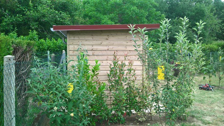 Appentis et abris bois